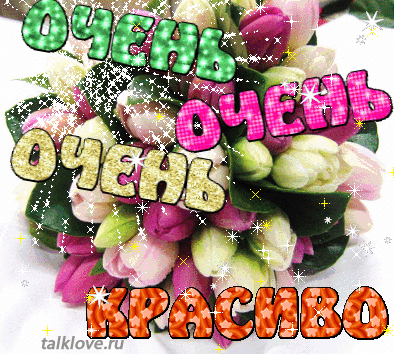 Картинка 115 из 1913